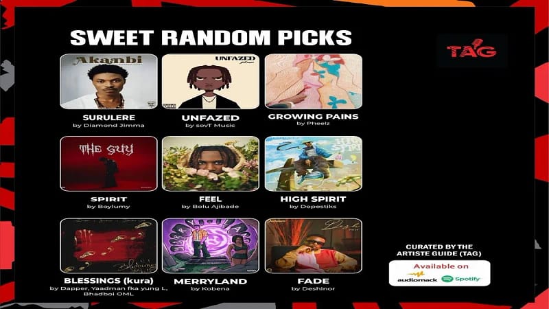 Sweet Random Picks Nigerian artists spotlight